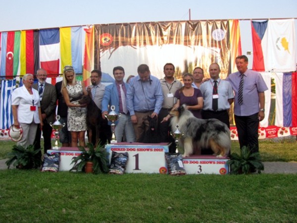Ch Siniketun Lumihaltia Best in Show-3 Azerbaidzanissa