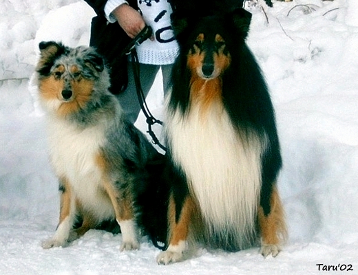 Renny ja tyttärensä Candymoon Fantastic Lady