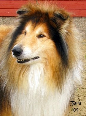 Nupe at 8 years