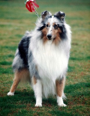 Oona at 3 years