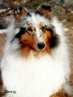 Oona at 3 years