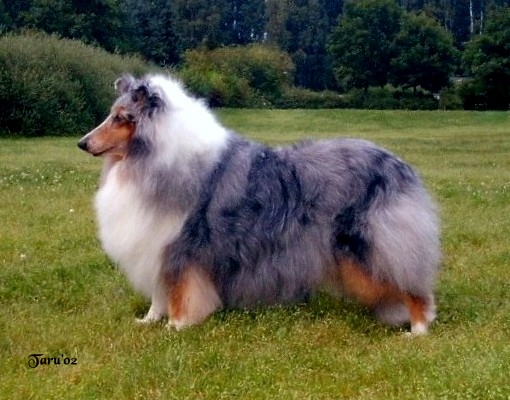 Oona at 10 years