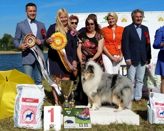 Siniketun Merle Moon BIS-1, Silute Liettua