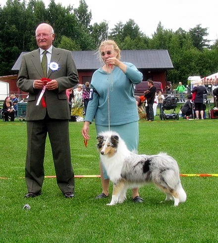 Siniketun Merle Moon ROP-pentu Helsingiss�, tuomarina: Geoff Duffield