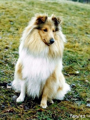 Samuli 2,5 v.