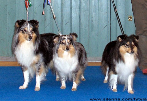 Tytyl�n Vilpertti, Ch Tytyl�n Vilhelmiina, Tytyl�n Y�kaste