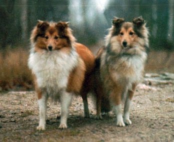 Nappi (vas.) ja em�ns� S�pin� (oik.)