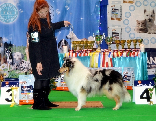 Lumikki RYP3 Narvassa 28.11.2015