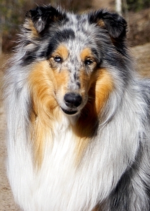 Noora at 4 years