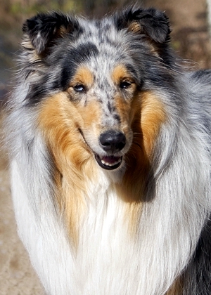 Noora at 4 years