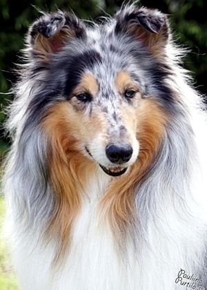 Noora 7 v.