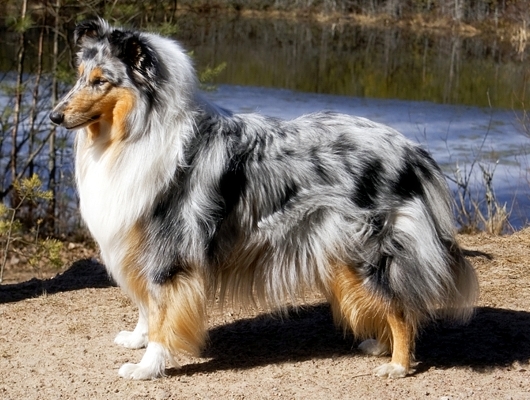 Noora at 4 years