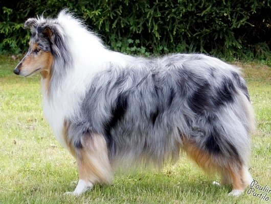 Noora at 7 years