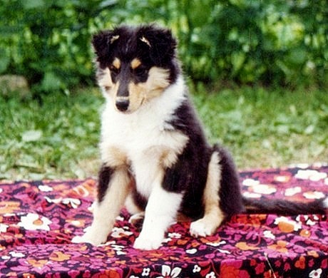 Tiina at 2 months