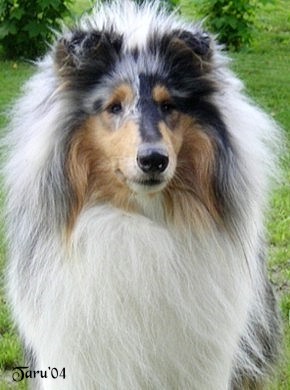 Kimi at 16 months